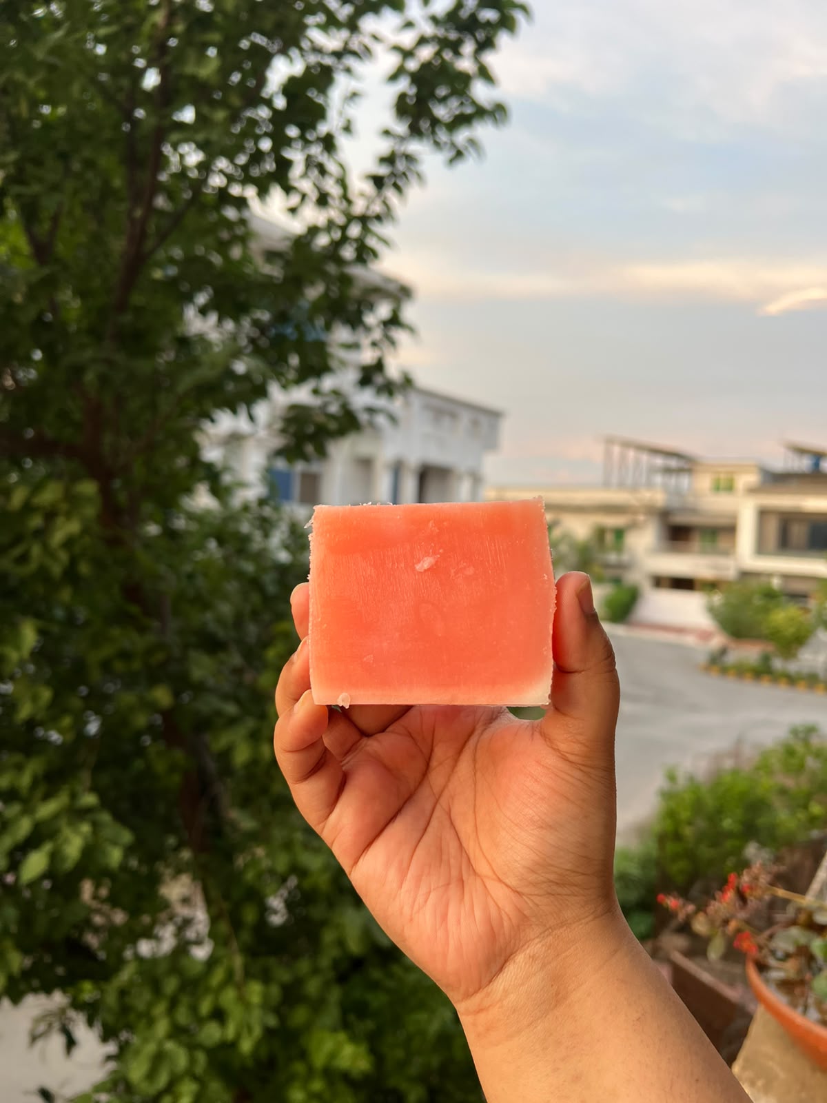 Rosy Pink Soap