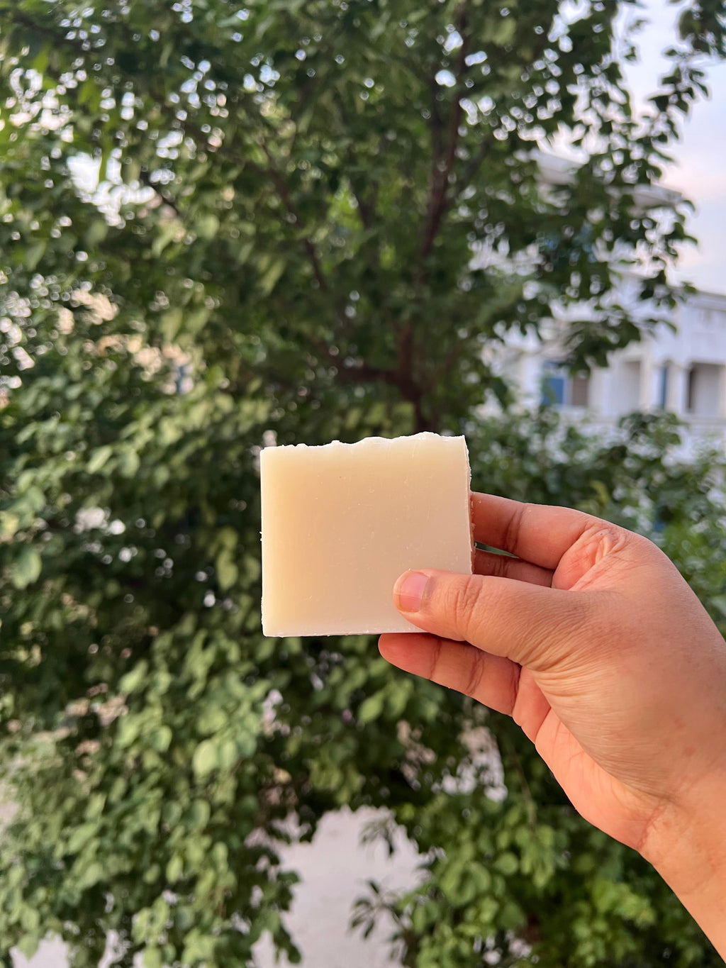 Honey Soap